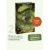 Дополнительное изображение книги «Война и мир. Том 2. Вечные истории. Young Adult»