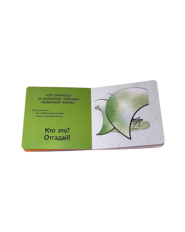 Интерактивные загадки. Кто здесь прячется? (улитка)