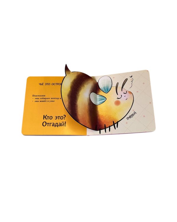 Интерактивные загадки. Кто здесь прячется? (улитка)