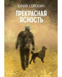 Прекрасная ясность