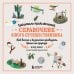 Искатель приключений. Справочник юного путешественника. Как весело и безопасно проводить время на природе