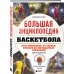 Большая энциклопедия баскетбола. Игра миллионов. От первых бросков до легендарных чемпионов