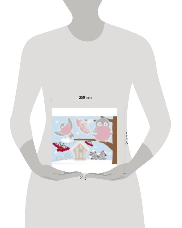 Многоразовые водные раскраски.Выпуск 8 (Снегири)