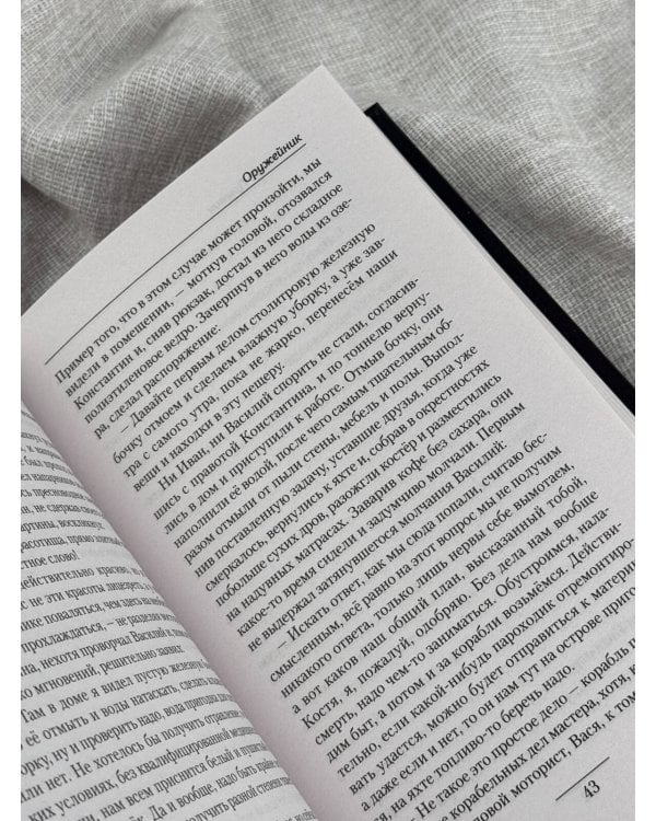 Дополнительное изображение книги «Оружейник»