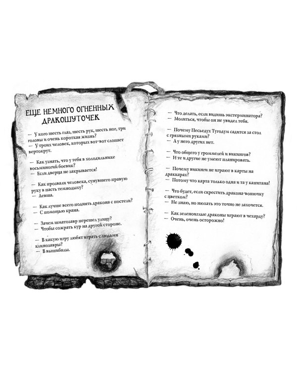 Как приручить дракона. Дневник для героя