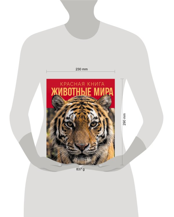 Дополнительное изображение книги «Красная книга. Животные мира»