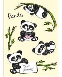 Панды. Тетрадь школьная в мягкой обложке, 48 л.