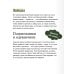 Ежик в тумане. Вечные истории. Young Adult