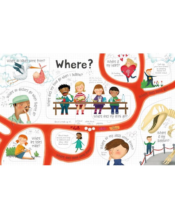 Дополнительное изображение книги «Lift-the-flap questions and answers about your body Книга с окошками вопросы и ответы о твоем теле  /Книги на английском языке»