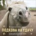 Подкова на удачу. 12 забавных символов года. Календарь настенный на 2026 год (300х300 мм)