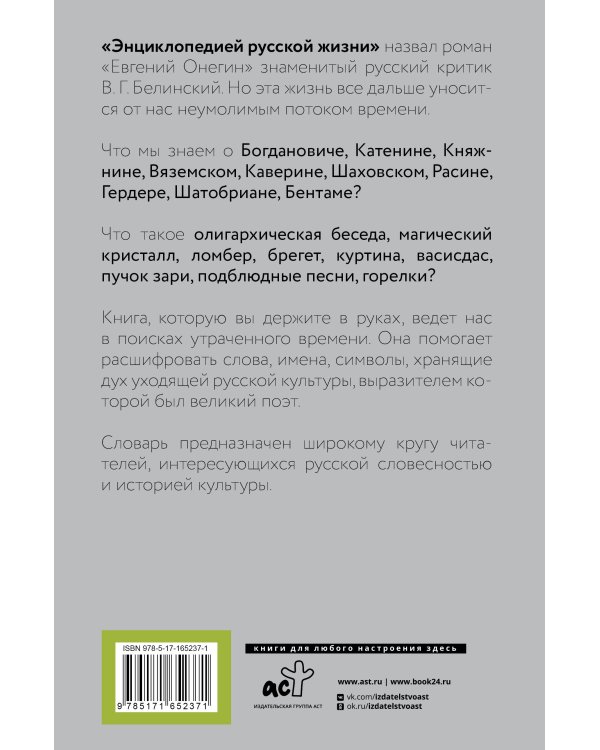 Евгений Онегин. Читаем со словарем. Комментарии к роману