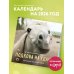 Подкова на удачу. 12 забавных символов года. Календарь настенный на 2026 год (300х300 мм)