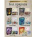 Оракул «Священный лес». Таро, гадания и знаки. Медитации в подарок Оракул «Священный лес». Таро, гадания и знаки. Медитации в подарок