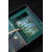 Оракул «Священный лес». Таро, гадания и знаки. Медитации в подарок Оракул «Священный лес». Таро, гадания и знаки. Медитации в подарок