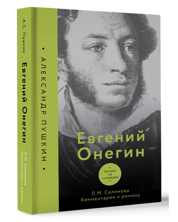 Евгений Онегин. Читаем со словарем. Комментарии к роману