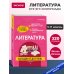 Литература: наглядно и доступно