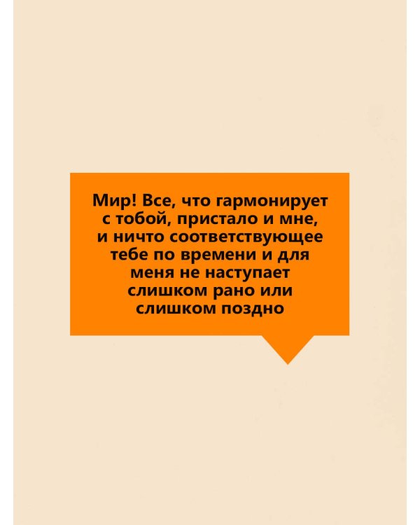 Дополнительное изображение книги «Наедине с собой»