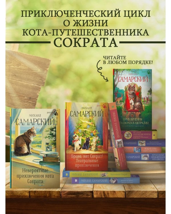 Невероятные приключения кота Сократа