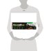 Змея на р/у с пауком свет, движение, кор.37*10,5*13см ТЕХНОДРАЙВ в кор.2*24шт