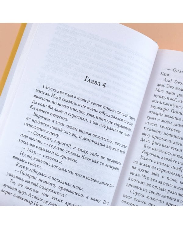 Невероятные приключения кота Сократа