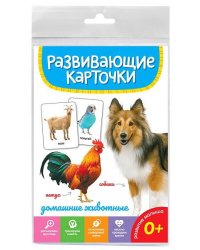 РАЗВИВАЮЩИЕ КАРТОЧКИ. ДОМАШНИЕ ЖИВОТНЫЕ