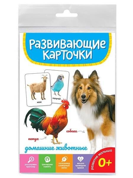 РАЗВИВАЮЩИЕ КАРТОЧКИ. ДОМАШНИЕ ЖИВОТНЫЕ