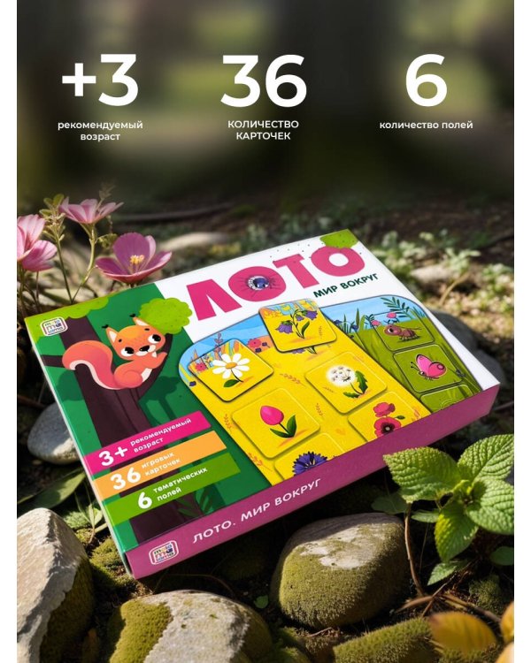 Дополнительное изображение книги «Лото. Мир вокруг»