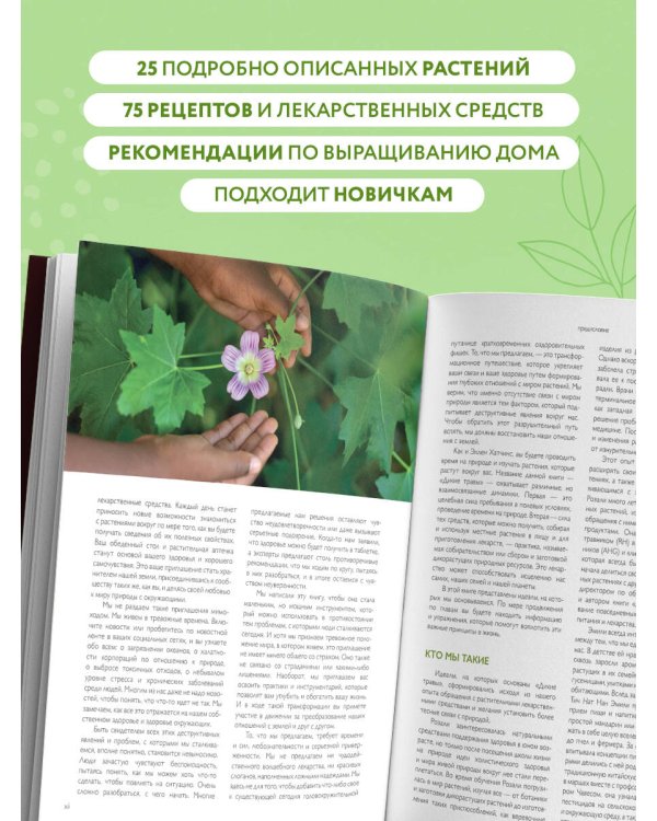 Дикие травы: как найти целебные продукты и создать собственные натуральные лекарства