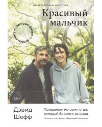 Красивый мальчик. Правдивая история отца, который боролся за сына