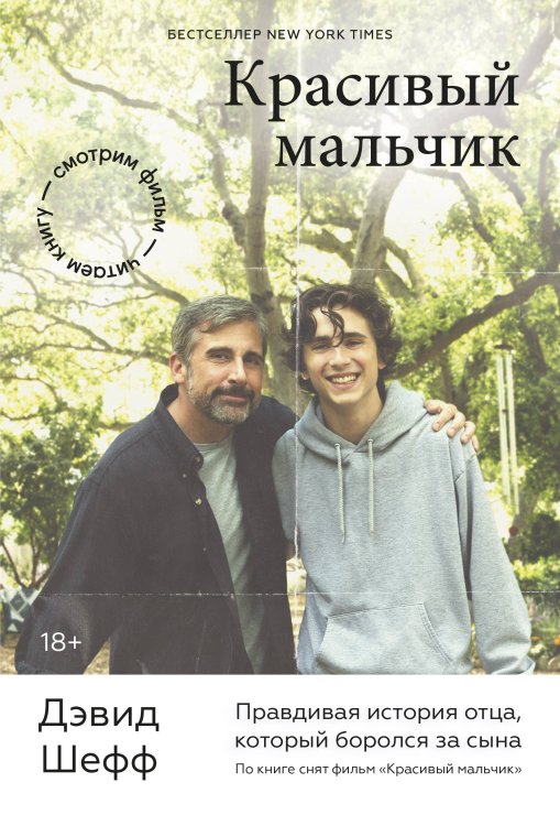 Смотрим фильм - читаем книгу. Экранизации МИФ Красивый мальчик. Правдивая история отца, который боролся за сына