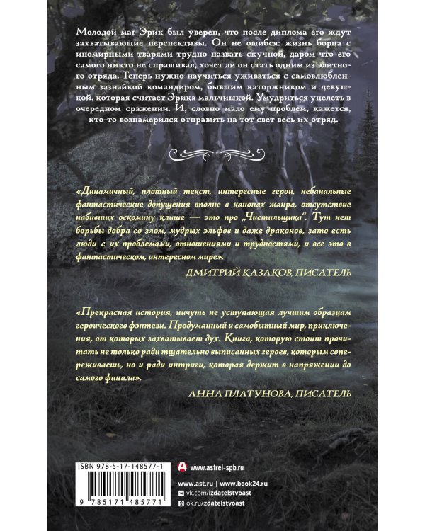 Чистильщик