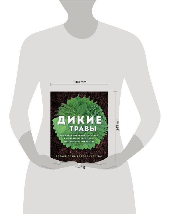 Дикие травы: как найти целебные продукты и создать собственные натуральные лекарства