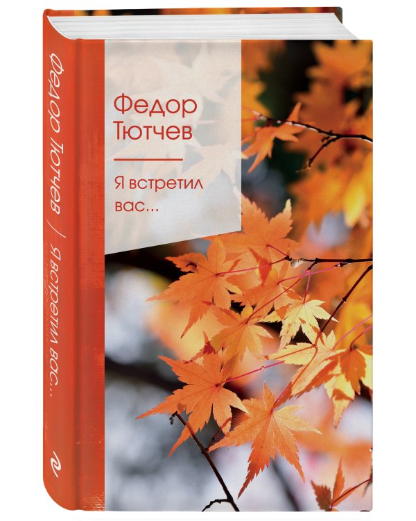 Я встретил вас...