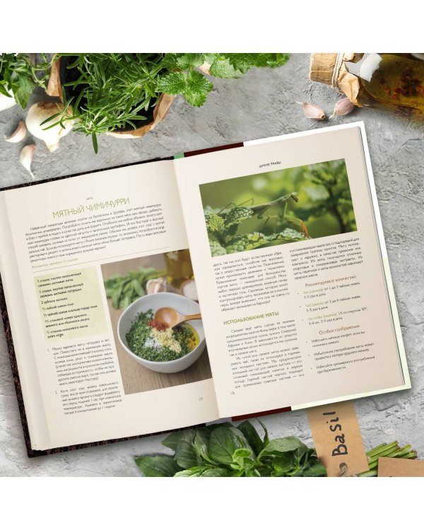 Дикие травы: как найти целебные продукты и создать собственные натуральные лекарства