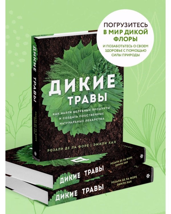 Дикие травы: как найти целебные продукты и создать собственные натуральные лекарства