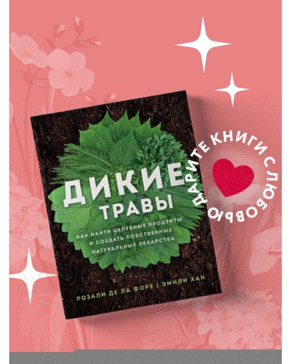 Дикие травы: как найти целебные продукты и создать собственные натуральные лекарства