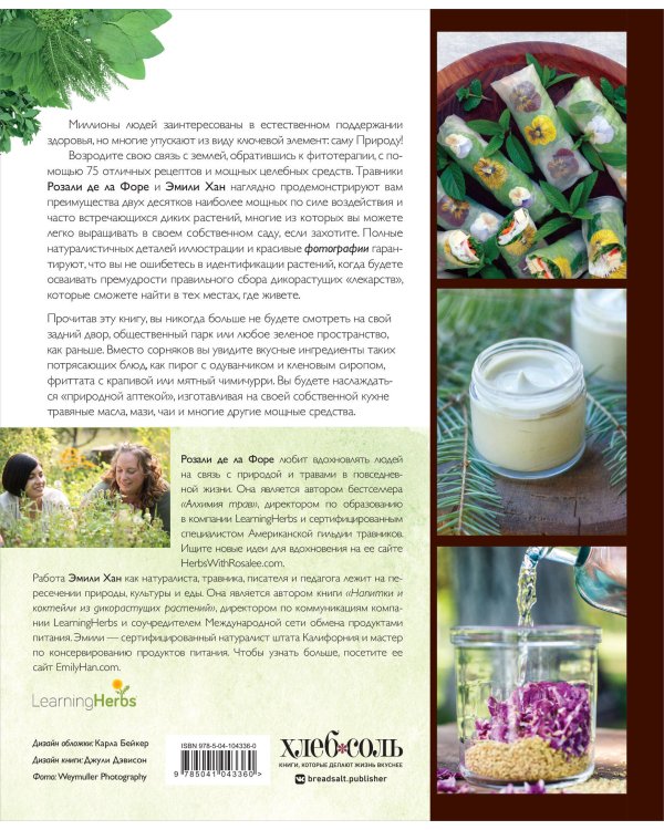 Дикие травы: как найти целебные продукты и создать собственные натуральные лекарства