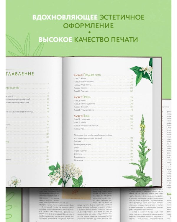 Дикие травы: как найти целебные продукты и создать собственные натуральные лекарства