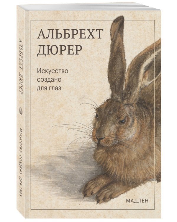 Дополнительное изображение книги «Искусство создано для глаз»