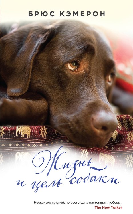 Обложка книги «Жизнь и цель собаки» — Кэмерон Брюс, ISBN 9785699967148