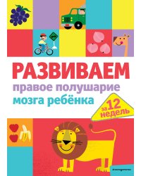 Развиваем правое полушарие мозга ребенка за 12 недель