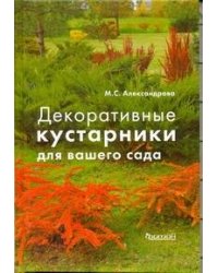Декоративные кустарники для вашего сада