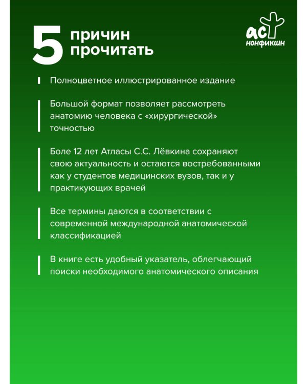 Атлас анатомии человека. Нервная система