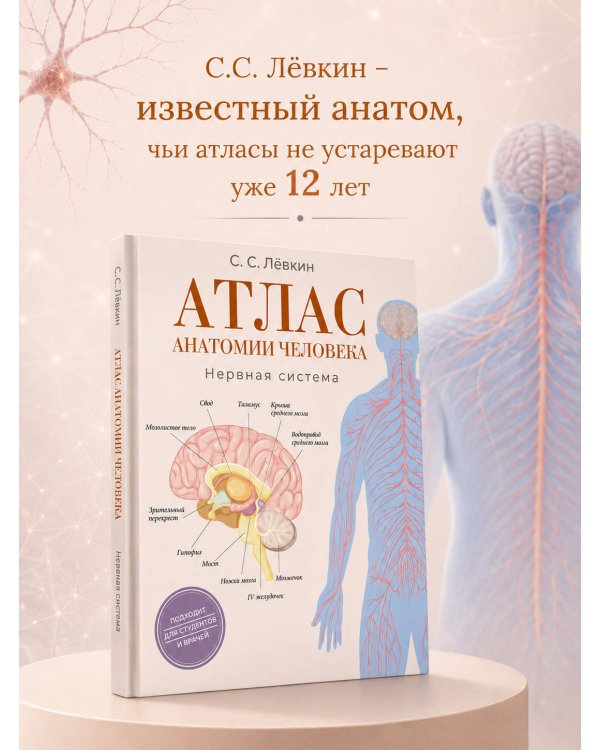 Атлас анатомии человека. Нервная система
