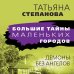 Большие тайны маленьких городов (обложка) Демоны без ангелов