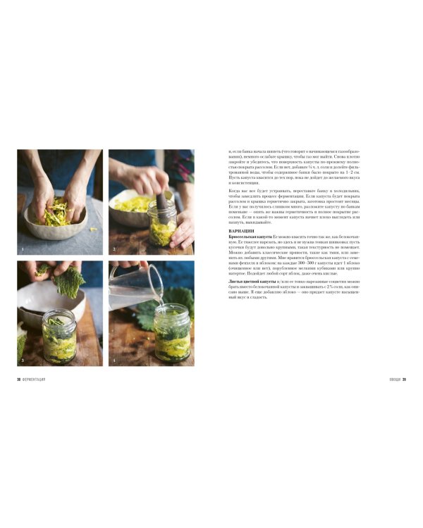 Ферментация. Вкусные и полезные рецепты на каждый день