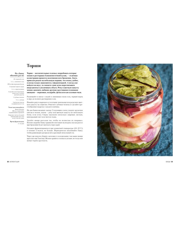 Ферментация. Вкусные и полезные рецепты на каждый день