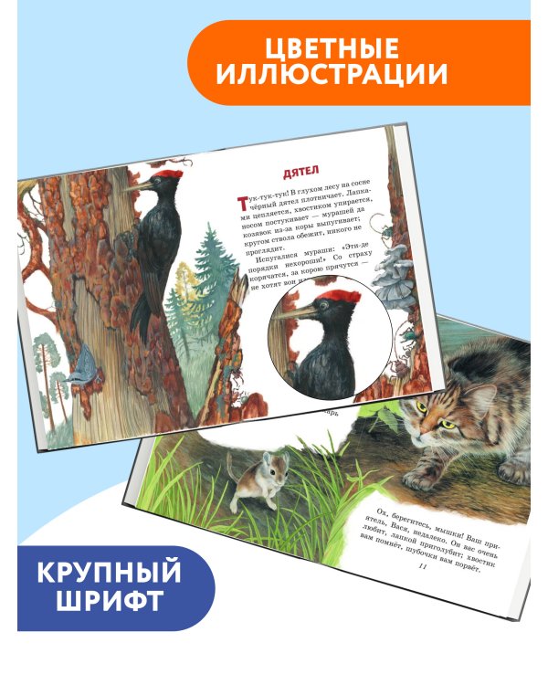 Любимые сказки и рассказы (ил. В. и М. Белоусовых, А. Басюбиной)