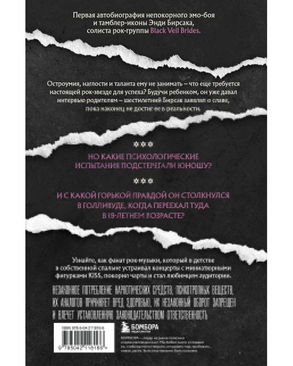 Они не поймут эти истории: Вдохновляющая автобиография солиста Black Veil Brides Энди Бирсака