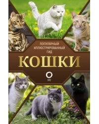 Кошки